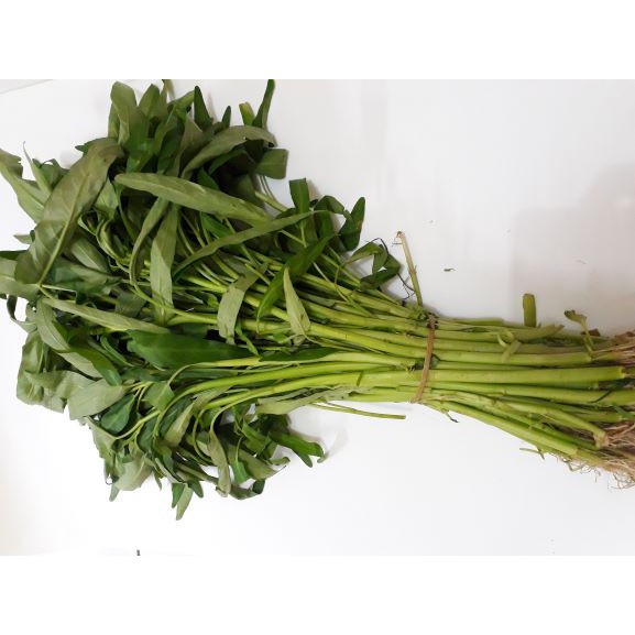 

Kangkung