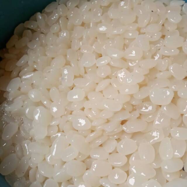 

Kolang Kaling/Kolang Kaling Mentah/Kolang Kaling Fresh/Kolang Kaling 1 kg/Cengkaleng/Cangkaleng