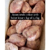 

Ayam utuh 1 ekor beku frozen berat 1kg murah ecer grosir partai