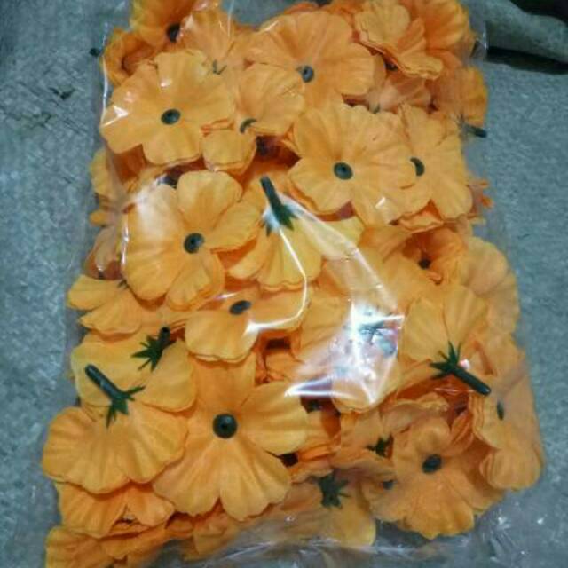 Bunga suyok bunga papan bunga