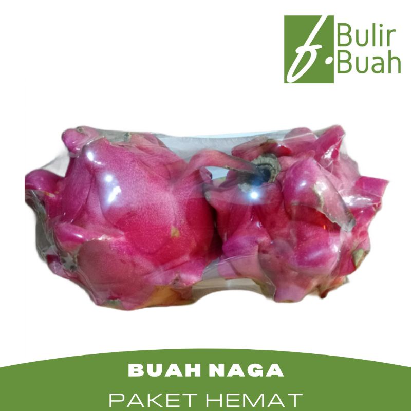 

Buah Segar Buahnaga Merah Super Paket Hemat/2pcs