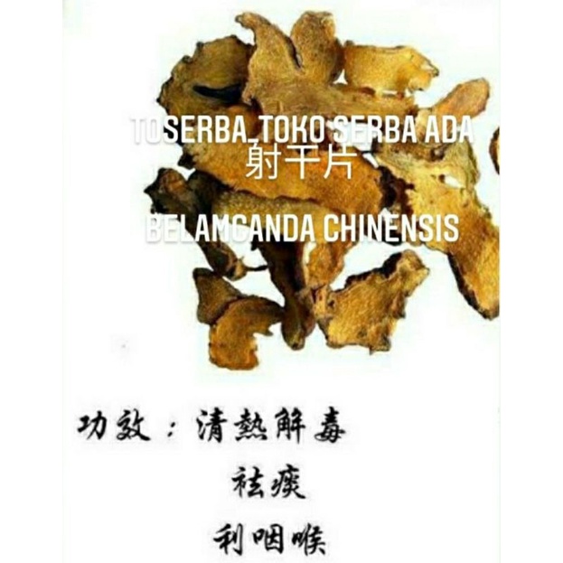 

100gr Herbal She Gan Pian Belamcanda Chinensis Iris Domestica / Leopard Flower / Leopard Lily / Blackberry Lily