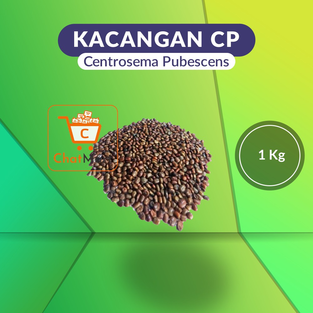 

Kacangan Centrosema Pubescens (CP) 1 Kg