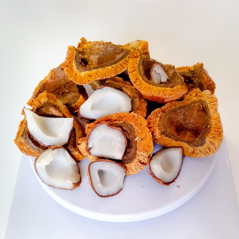 Buah Zuriat 1 Kg / Zuriyat / Doum Original Kwalitas Premium  Untuk Program Hamil ( Promil )