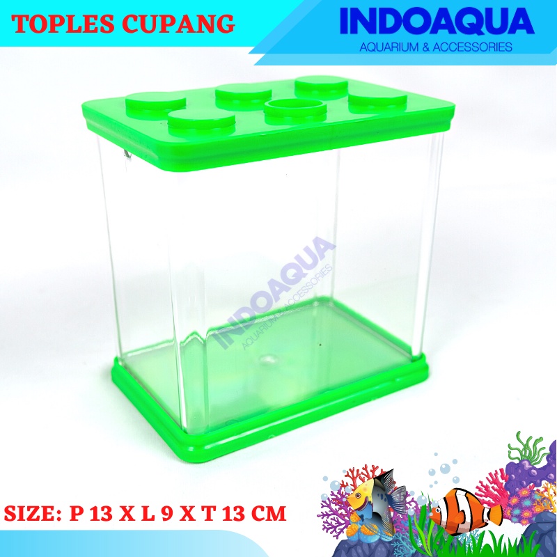 Aquarium Ikan Cupang Toples Cupang Tank Ikan Cupang