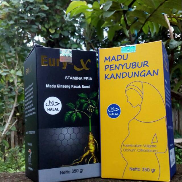 

Paket Ekonomis Basic Madu Eury-X dan Madu Penyubur Wanita Ori Al-Mabruroh