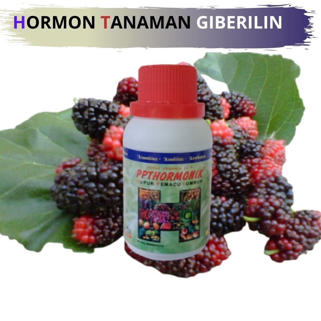 zpt tanaman buah/zpt auksin/zpt murni/zpt ga3/obat perangsang akar/hormon tanaman giberelin sitokini