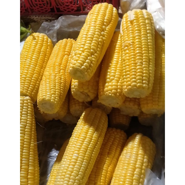 

jagung 500gr