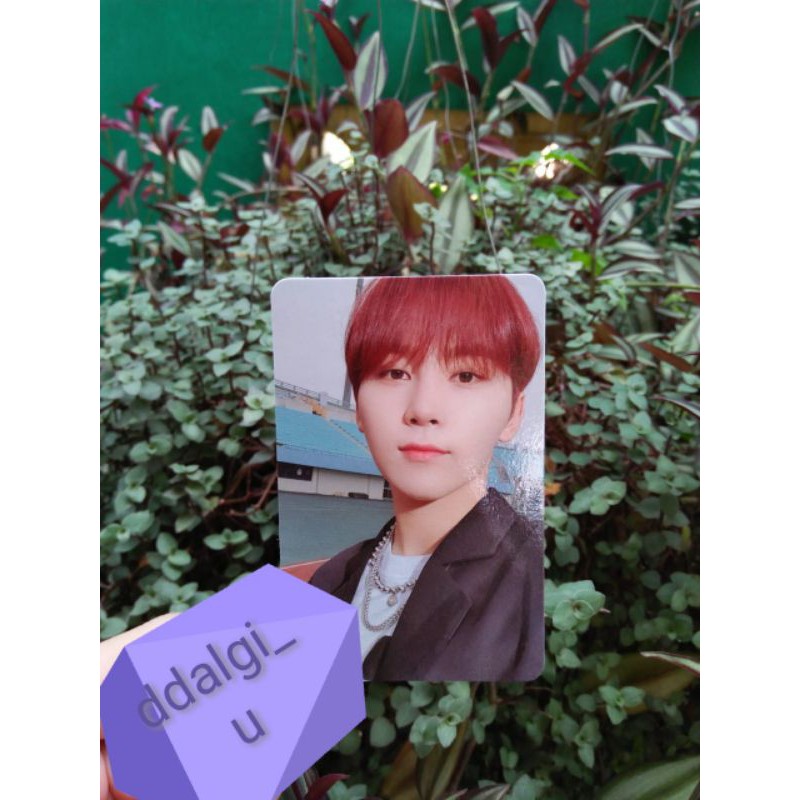 PHOTOCARD BENEFIT SEUNGKWAN SYNNARA/HOTTRACKS HENGGARAE