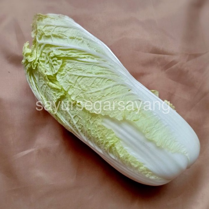 

Sawi Putih 500gr