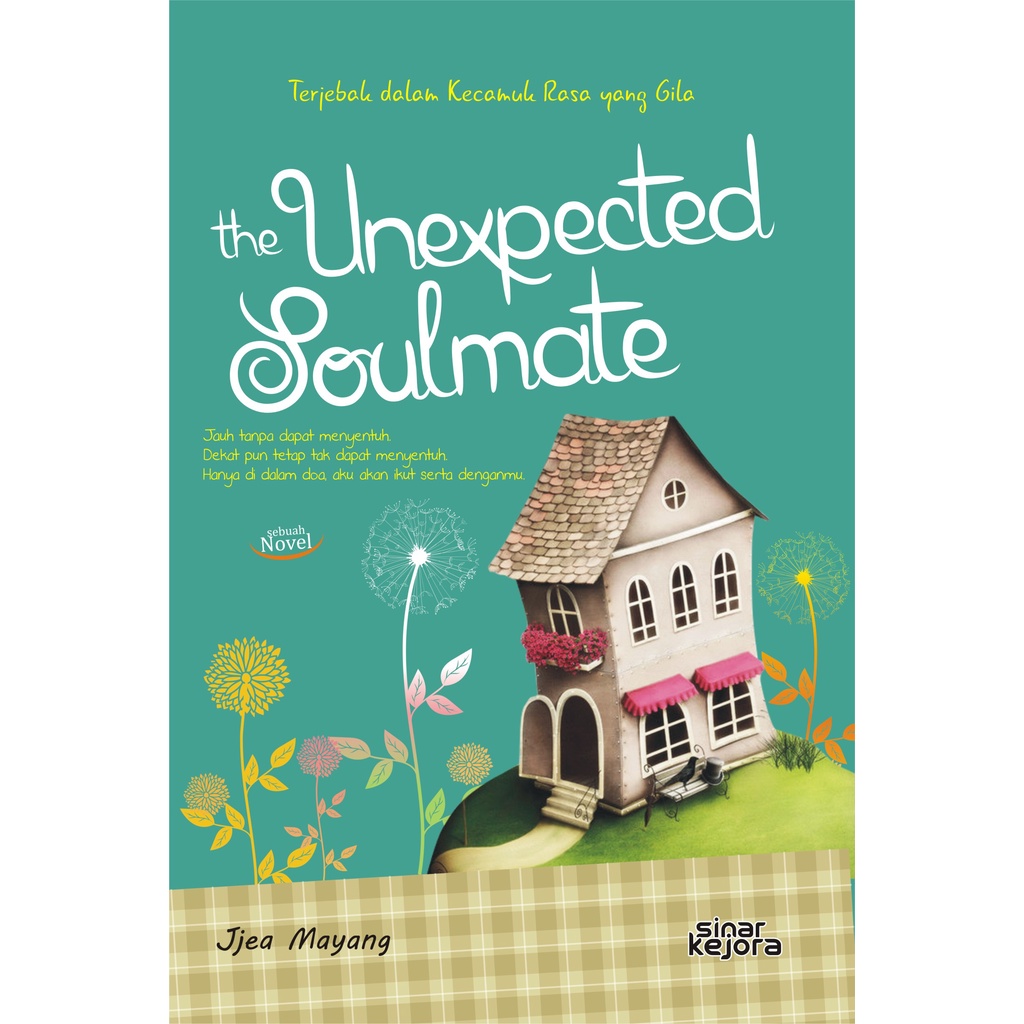 Novel Original The Unexpected Soulmate