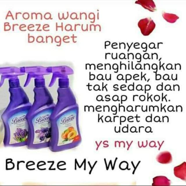 Breeze My Way