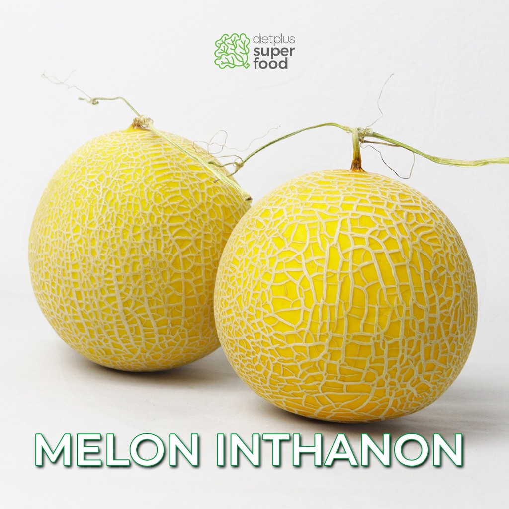

Buah Melon Inthanon Manis Segar 1000-1100 gr 1 buah Dietplus Superfood Bandung
