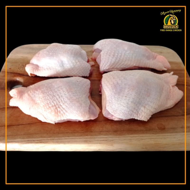 

Paha-Atas-Brocock-Broiler-Free-Range-Alami-Sehat-Ayam