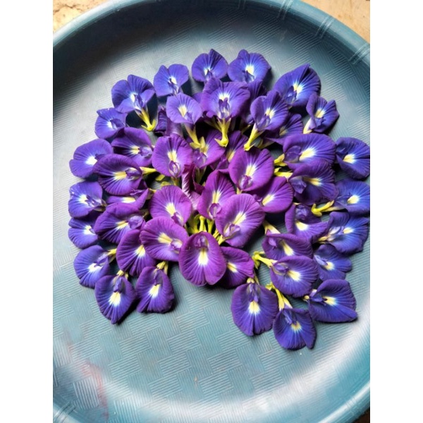 

Bunga Telang kering 10 gram premium