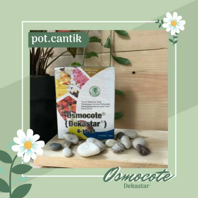 Osmocote Dekastar