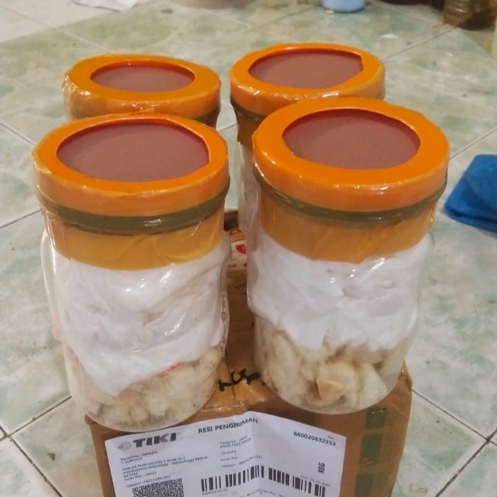 Telur magot bsf paket 60 edisi promo