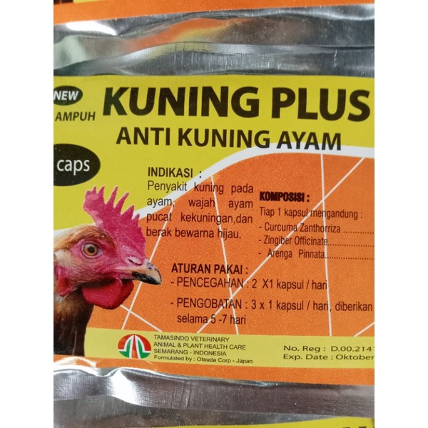 obat ayam kuning plus