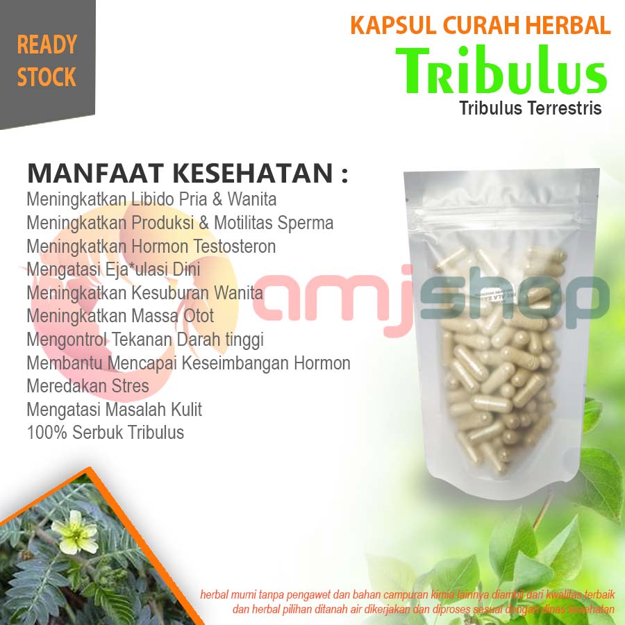 

Kapsul curah herbal tribulus kapsul herbal meningkatkan hasrat pria dan wanita mengatasi edi meredakan stres