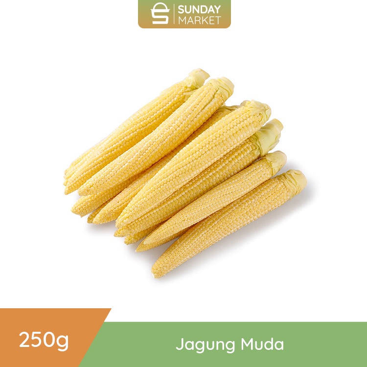

Jagung Muda | Putren Segar [250gr] | Fresh Setiap Hari