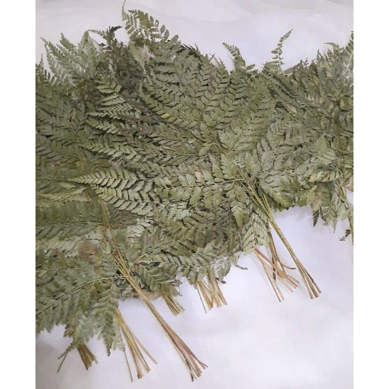 

Daun Pakis Kering Per 1 ikat murah