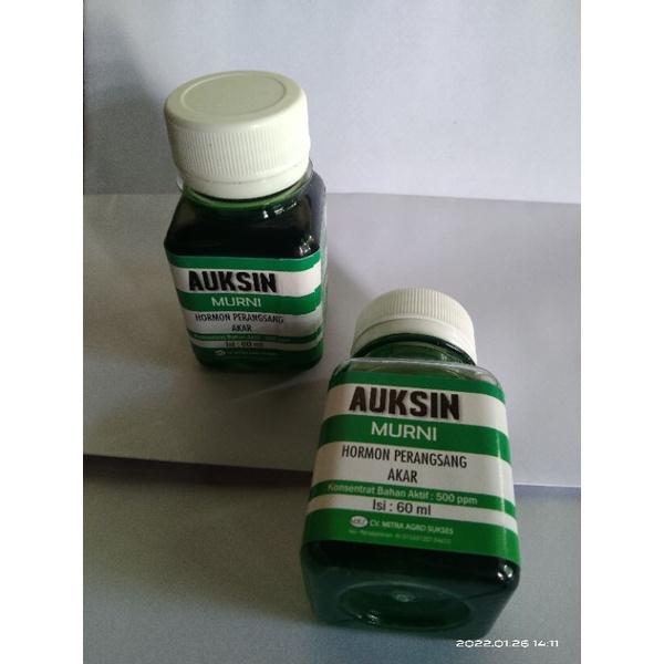 AUKSIN HORMON PERANGSANG AKAR 60ML ZPT Zpt zpt #Giberlin #Sitokinin