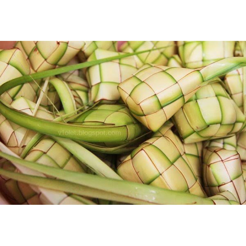 

kulit ketupat