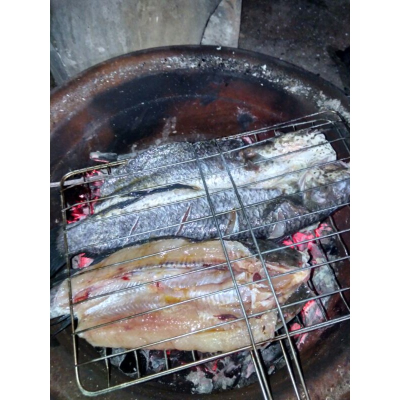 

ikan kakap