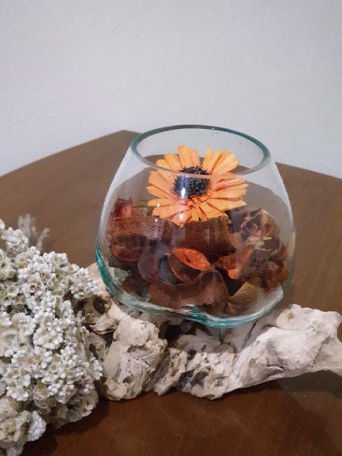Glass On Wood Vase S - Kaca D12cm / Pot Kaktus / Pot Kecil / Aquarium / Kaca Tiup