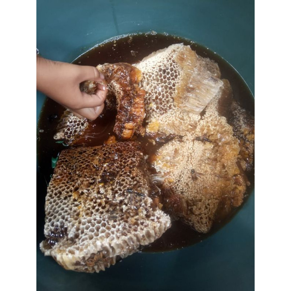 

MADU HUTAN JAMBI MURNI 100%