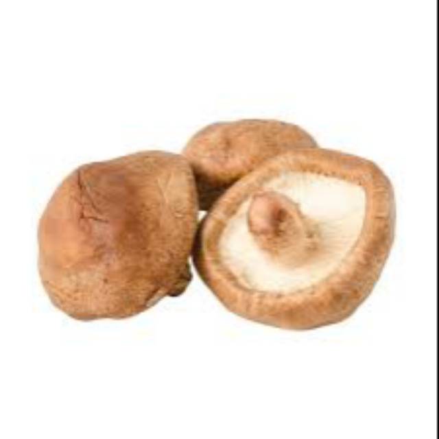 

Jamur shitake