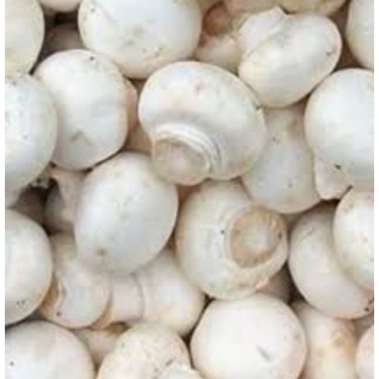 

jamur kancing / champignon 200 gram