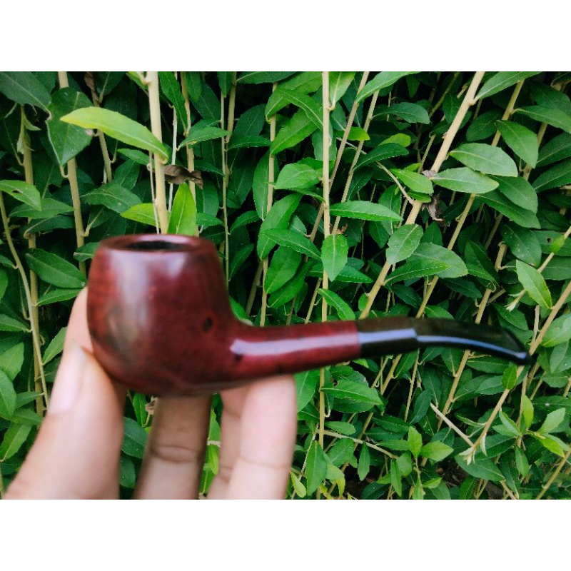 pipa cangklong briar import