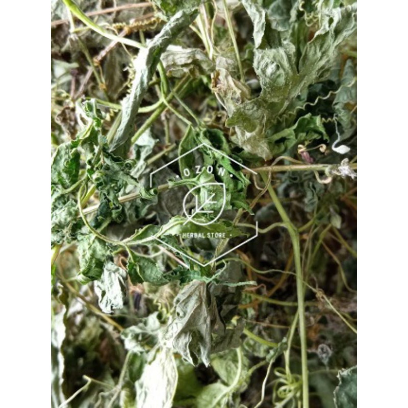 

Daun Pare/Paria Hutan Pare Alas Kering 1kg