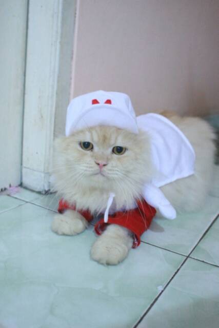 Kostum Mario power-Up merah putih untuk kucing dan anjing size S M L XL