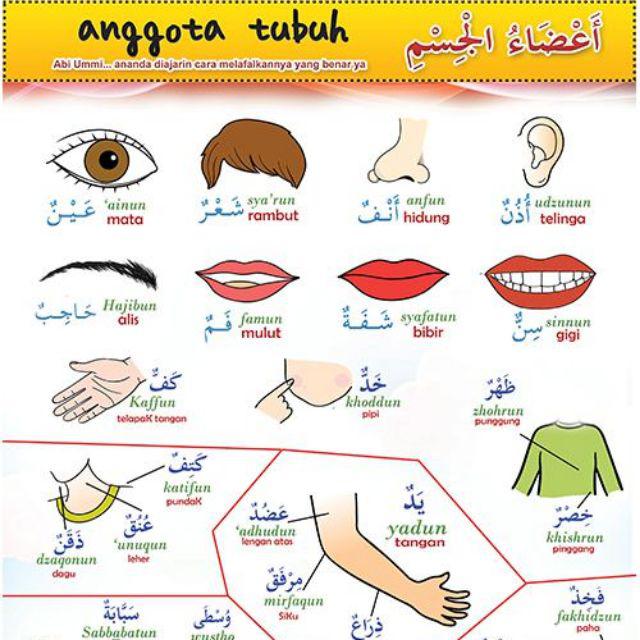 Poster Edukasi Edukatif Belajar Anak Muslim Islami Sunnah