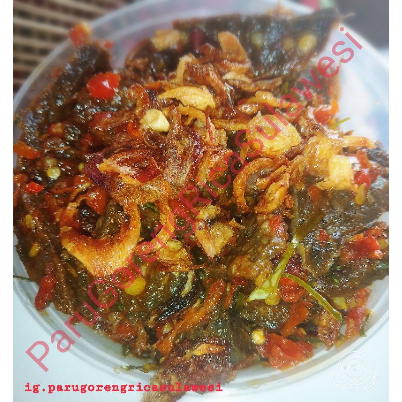 

Paru rica Special Sulawesi