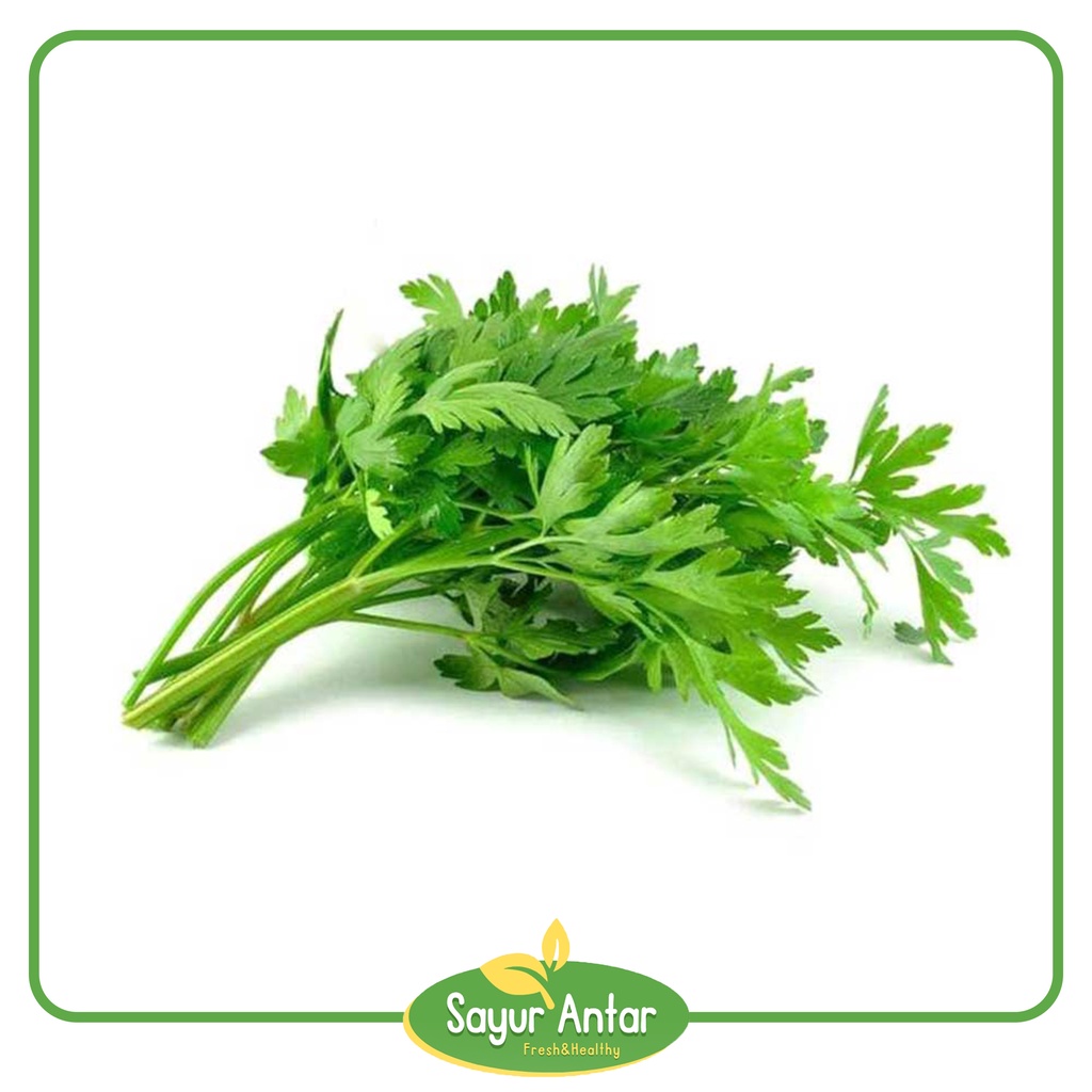 

Daun Seledri 100 gr | Sayur.Antar | Free Ongkir Bandung Cimahi