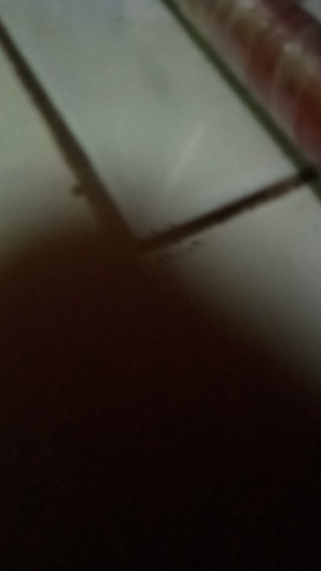 Petrokum 0,005 Bb - Racun Tikus Ampuh, Tikus Mati Tidak Berbau | Star Farm