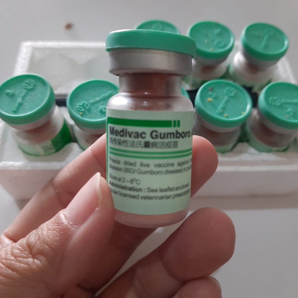 Vaksin Medivac Gumboro 1000 Dosis