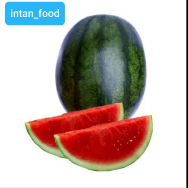 

Semangka non biji super