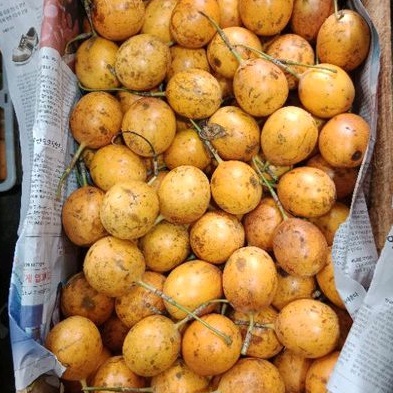 

BUAH MARKISA MEDAN MANIS