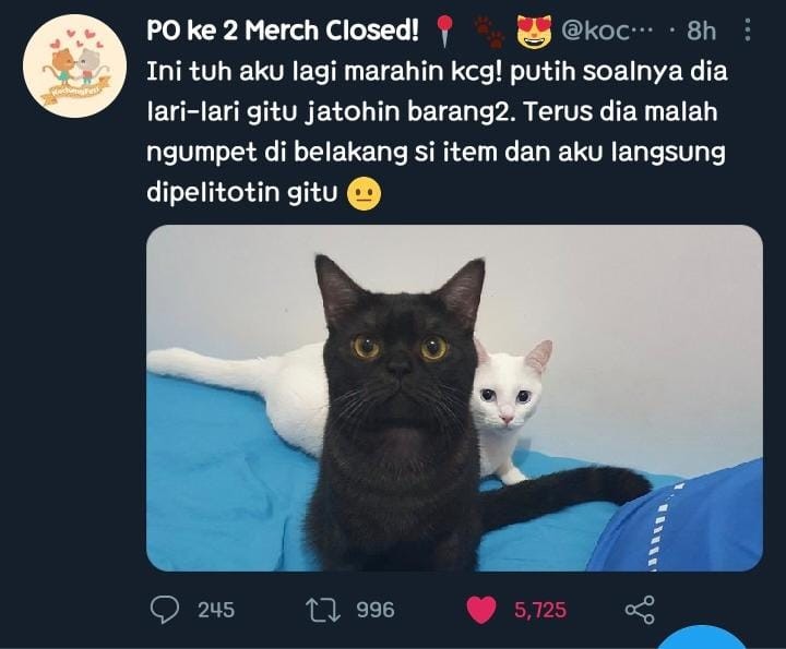 Rak Toilet Organizer Wc Kamar Mandi 165 X 50 X 26