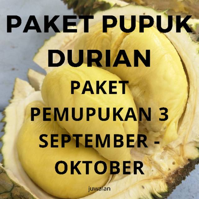 Pupuk Durian Paket 3 Pembungaan