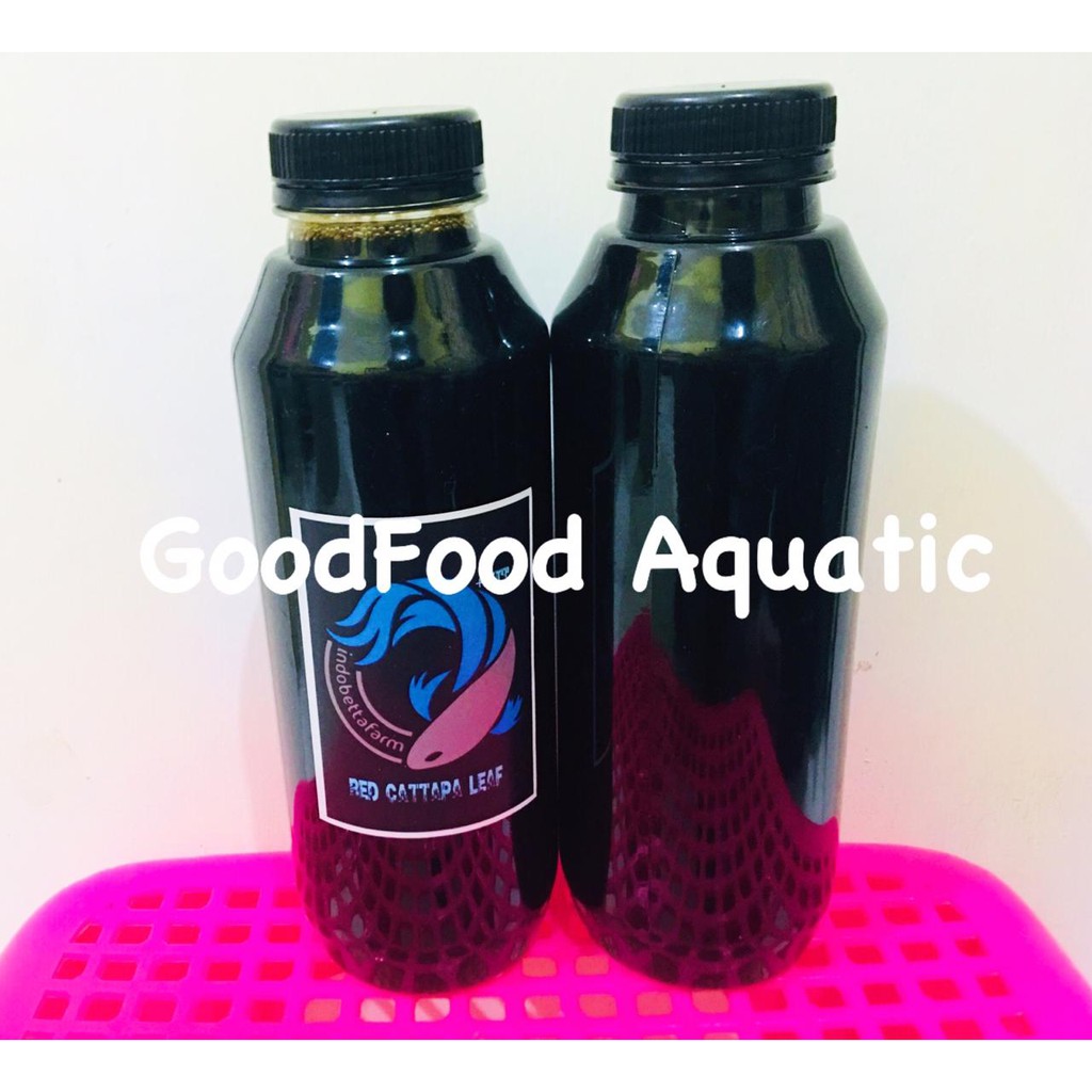 Ekstrak Daun Ketapang Laut Quality Eksport + Vit C 500ml