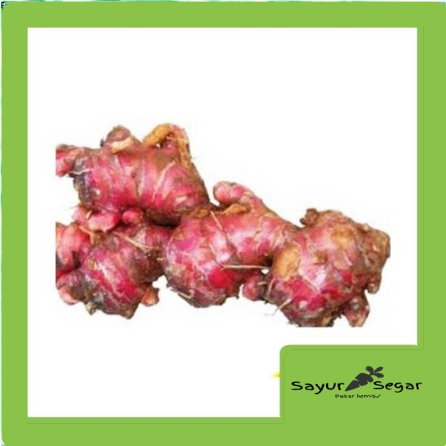 

Jahe merah [250 gr]