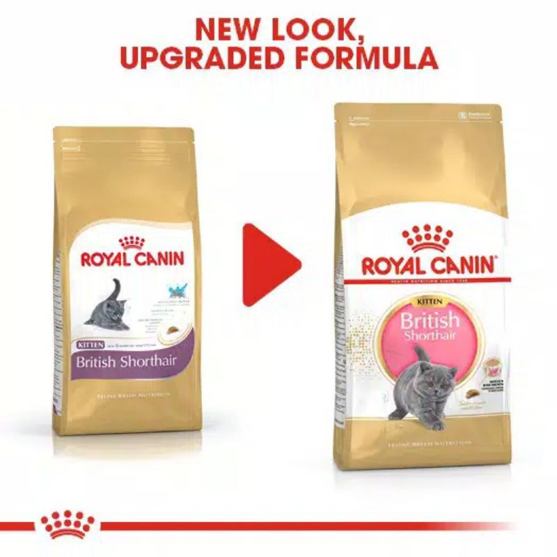 Royal Canin Kitten British Shorthair 2Kg Freshpack Makanan Kucing Kitten British