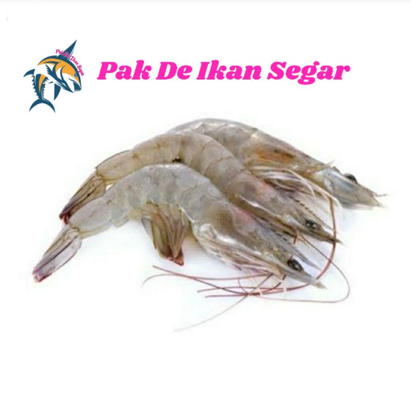 

Udang Vaname Segar. 30-40 ekor/kg.