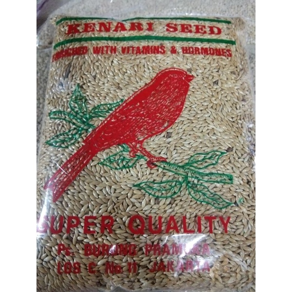 

kenari seed