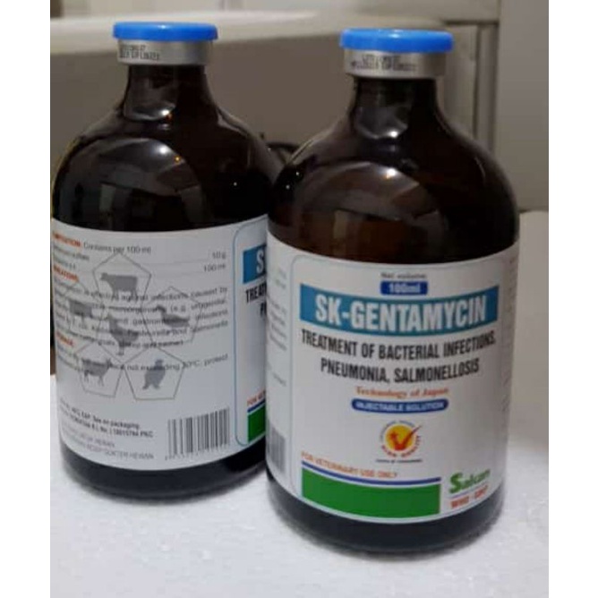 SK-GENTAMYCIN injeksi